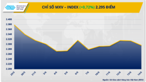 Chỉ số MXV-Index 14/06/2024