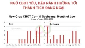 ngô CBOT yếu, đậu nành hướng tới thành tích đáng ngại