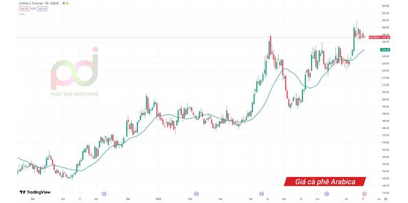 biểu đồ giá cà phê Arabica