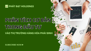 Phân Tích Cơ Bản Trong Đầu Tư Vào Thị Trường Hàng Hóa Phái Sinh