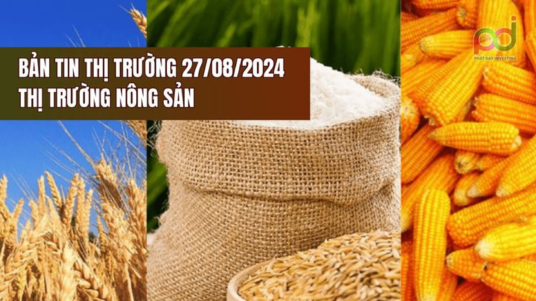 BẢN TIN THỊ TRƯỜNG NGÀY 27/8/2024: THỊ TRƯỜNG NÔNG SẢN