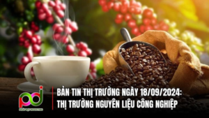 Bản Tin Thị Trường Nguyên Liệu Công Nghiệp Ngày 18/09/2024