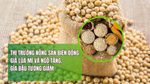 Thị Trường Nông Sản Biến Động: Giá Lúa Mì Và Ngô Tăng, Đậu Tương Giảm