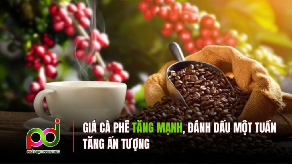 Giá Cà Phê Tăng Mạnh, Thiết Lập Mốc Cao Kỷ Lục Trong Tuần Qua